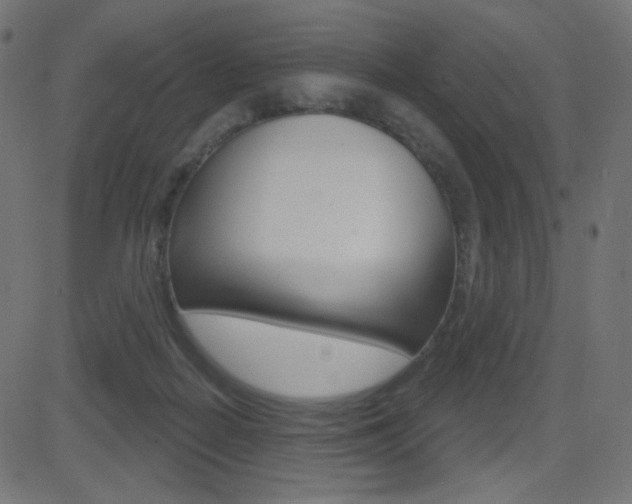 X0000081620266200701151102