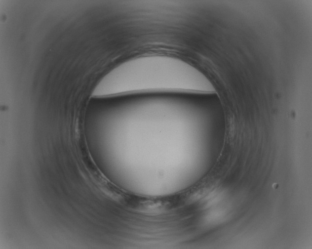 X0000081620267200701151102