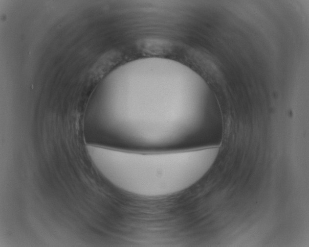 X0000081620271200701151102