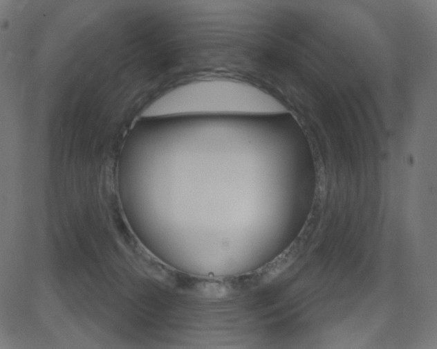 X0000081620272200701151102