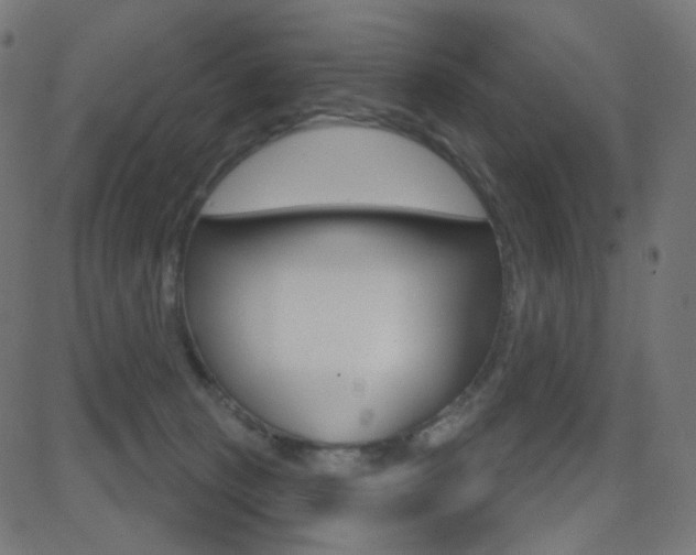 X0000081620273200701151102