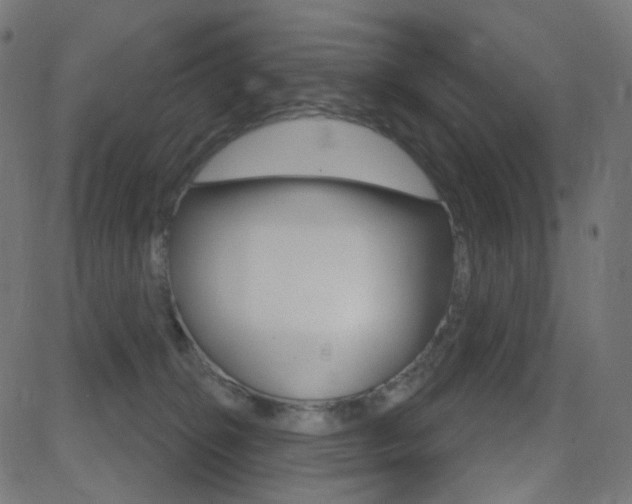 X0000081620276200701151102
