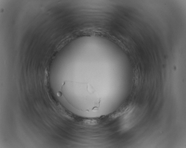 X0000081620279200701151102