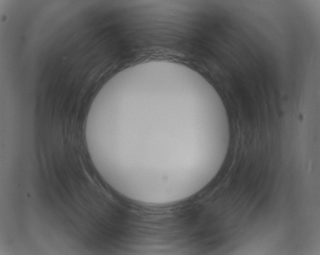 X0000081620280200701151102