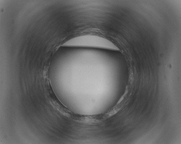 X0000081620284200701151102