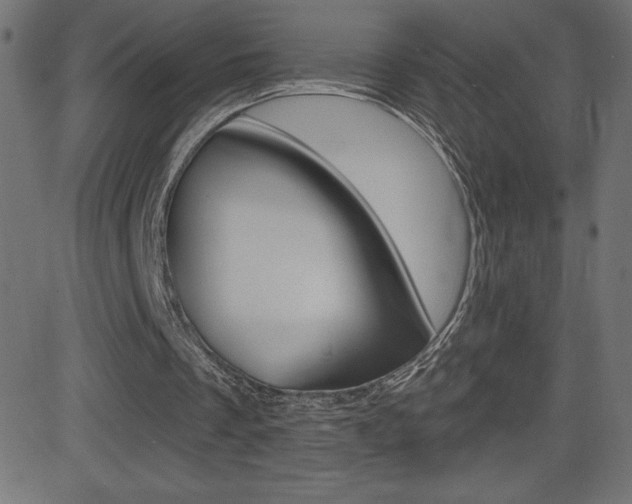 X0000081620289200701151102