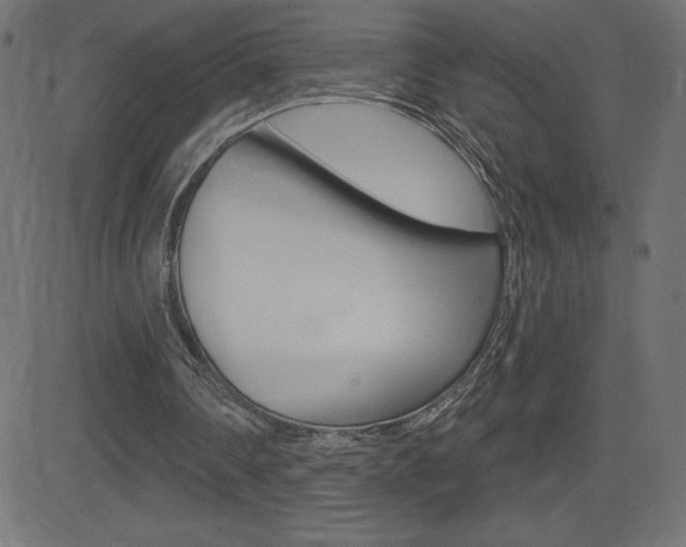 X0000081620290200701151102