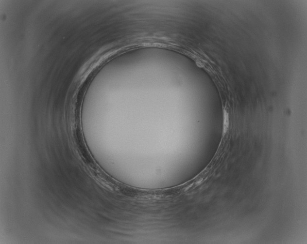 X0000081620291200701151102