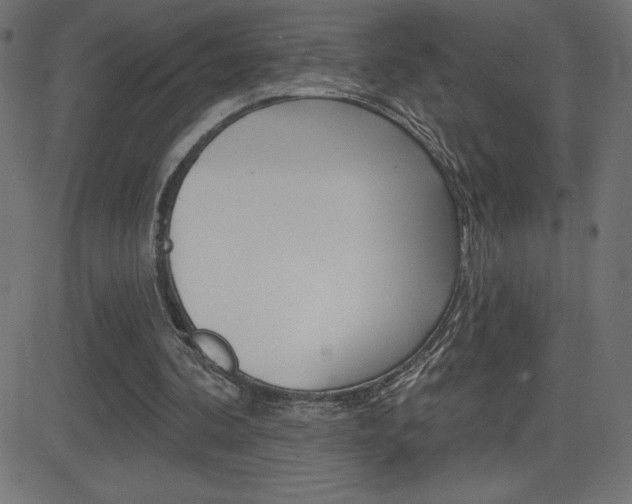 X0000081620292200701151102