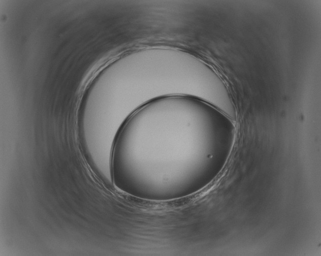 X0000081620293200701151102