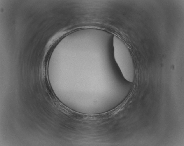 X0000081620294200701151102