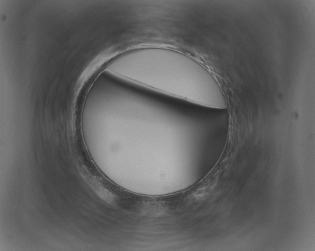 X0000081620296200701151101