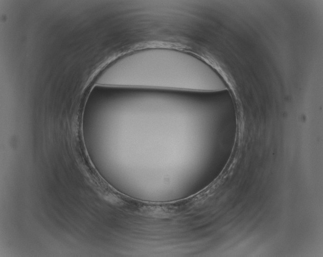 X0000081620297200701151101