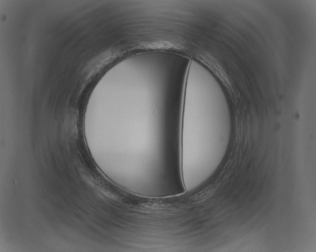 X0000081620300200701151101