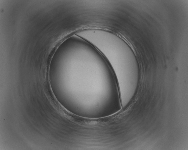 X0000081620301200701151101