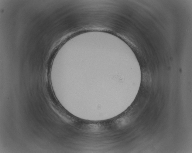 X0000081620302200701151101