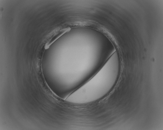 X0000081620305200701151101