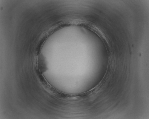 X0000081620307200701151101