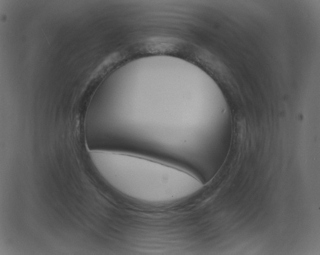X0000081620308200701151101