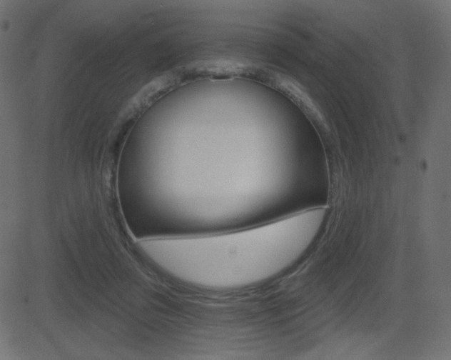 X0000081620309200701151101