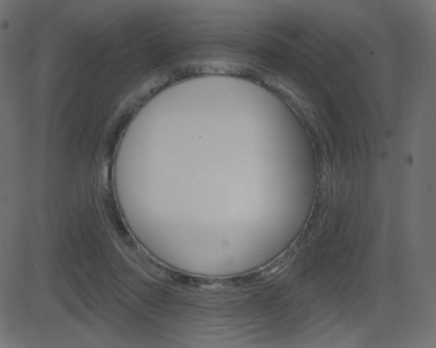 X0000081620310200701151101