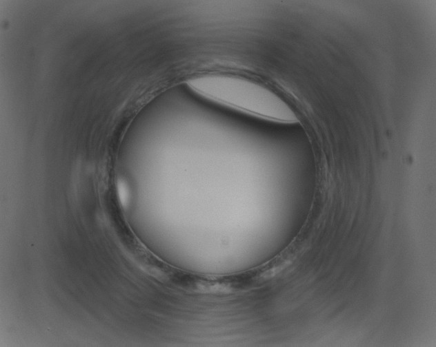 X0000081620311200701151101