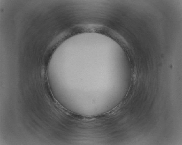 X0000081620314200701151101