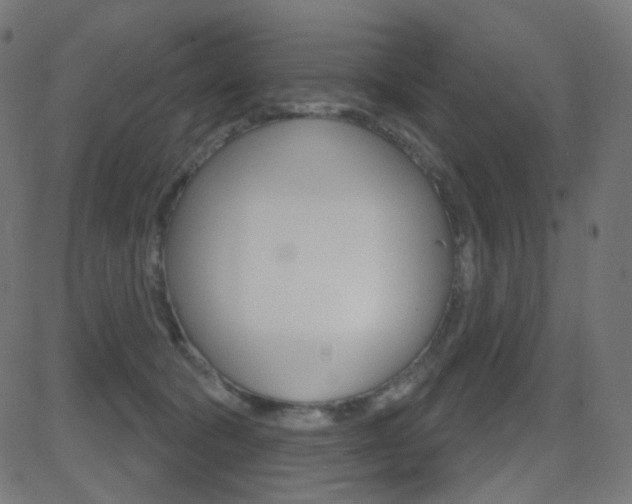 X0000081620322200701151101