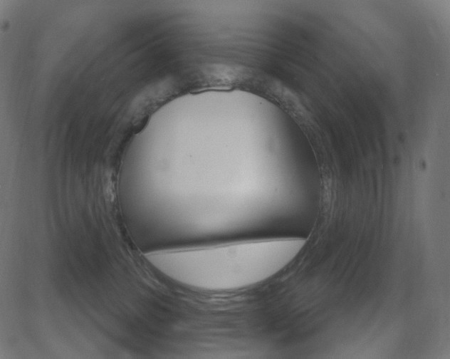 X0000081620331200701151101