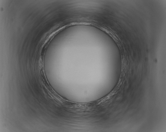 X0000081620338200701151100