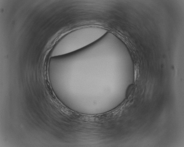 X0000081620339200701151100