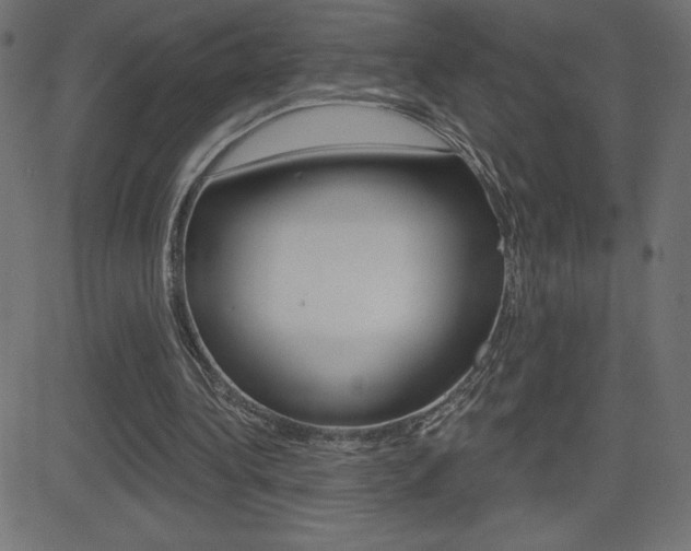 X0000081620340200701151100
