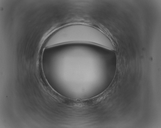 X0000081620344200701151100