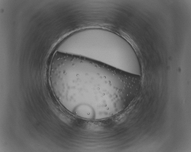 X0000081620346200701151100