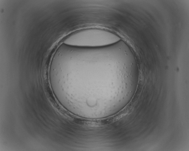 X0000081620347200701151100