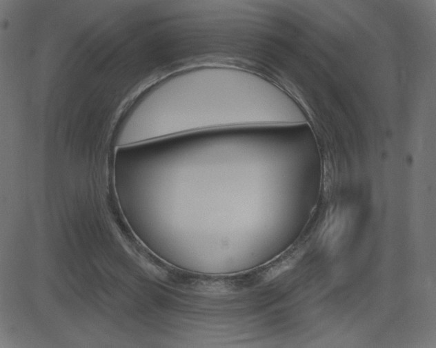 X0000081620349200701151100