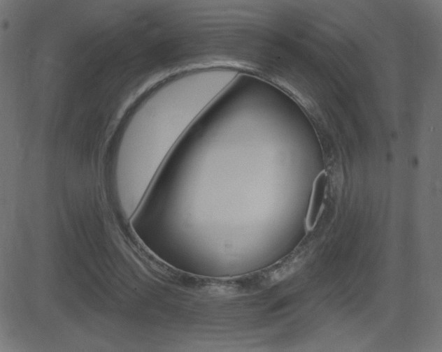 X0000081620350200701151100