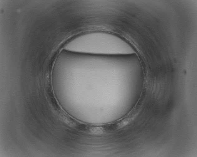 X0000081620355200701151100