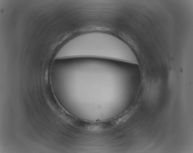 X0000081620358200701151100
