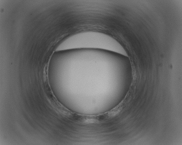 X0000081620360200701151100
