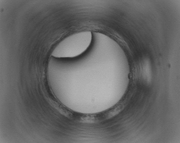X0000081620362200701151100