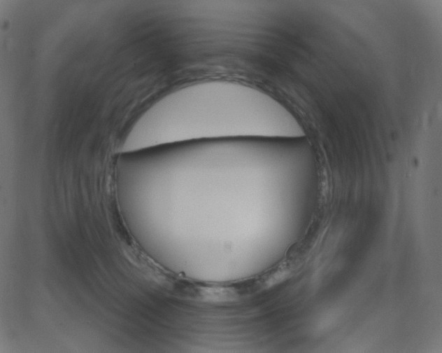 X0000081620371200701151101