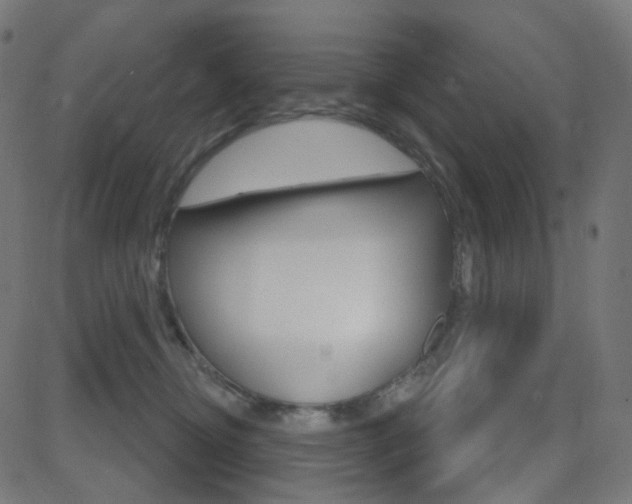 X0000081620374200701151101