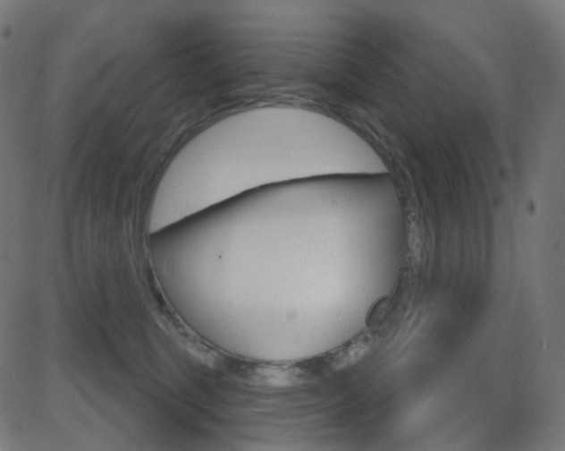 X0000081620375200701151101