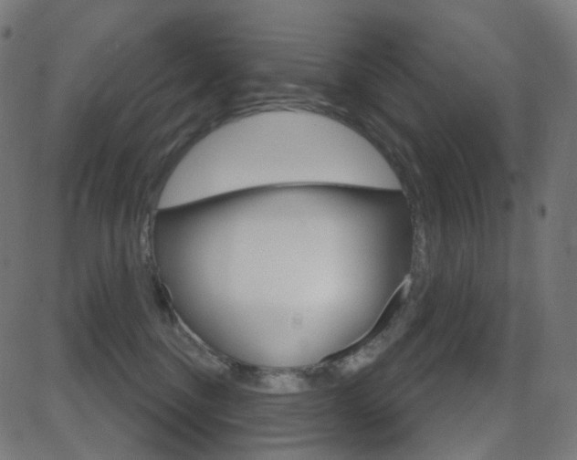 X0000081620376200701151101