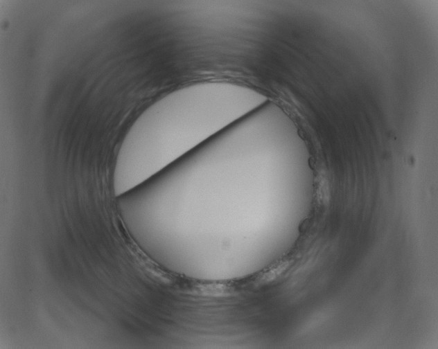 X0000081620377200701151101