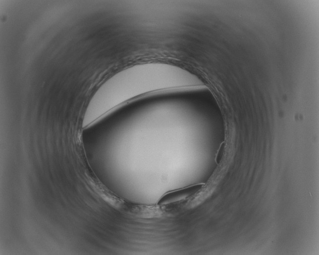 X0000081620384200701151101