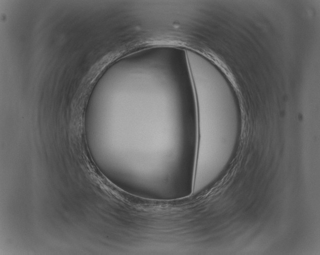 X0000081620385200701151100