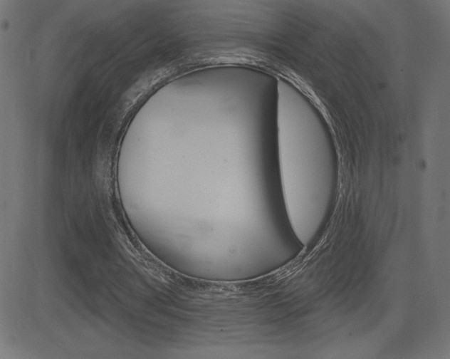 X0000081620386200701151100