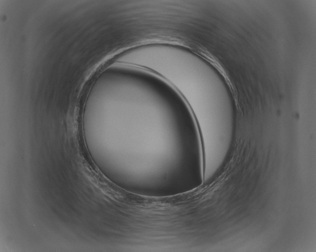 X0000081620387200701151100
